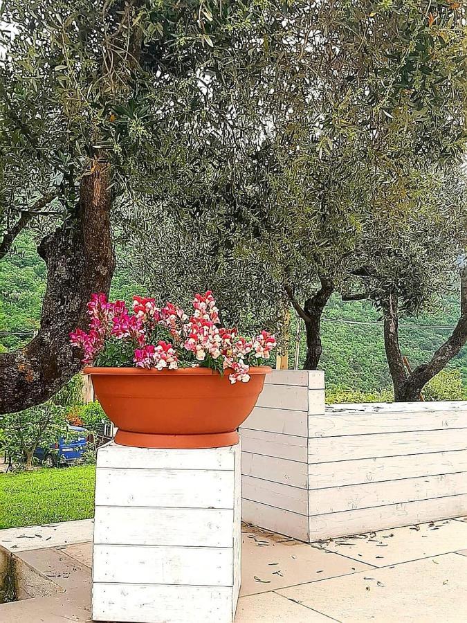 B&B Villa Giulia Capaccio Extérieur photo