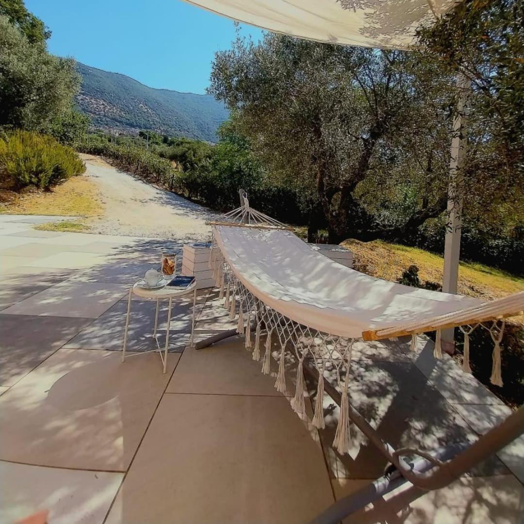 B&B Villa Giulia Capaccio Extérieur photo